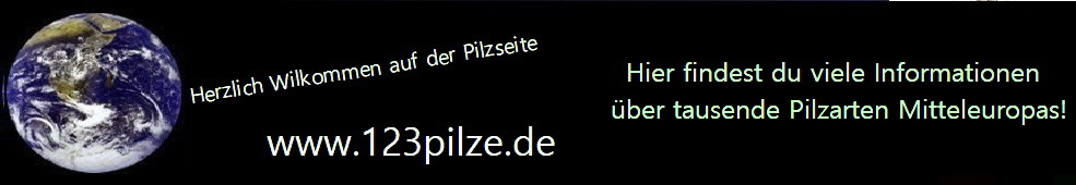 Bannerwerbung fr Ihre Seiten - 123pilzsuche.de